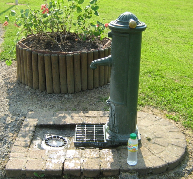 a victorian styled water spout with a plant and grass behind